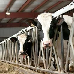 Best Sale 🔔 WypAll® Wipers WypAll L10 Hydroknit Wipers, White, 110 Wipes/Box, 18 Boxes/Carton (01772) ⌛ -Cleaning Tools Sales unnamed file 1552