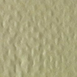 Wholesale ✨ Duster Brawny® Professional Disposable Dusting Cloth By GP PRO, Yellow, 50/Pack (29616) 🔔 -Cleaning Tools Sales unnamed file 797